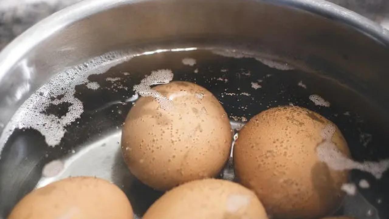 11 Sumber Protein Terbaik yang Dapat Anda Makan Menurut Ahli
