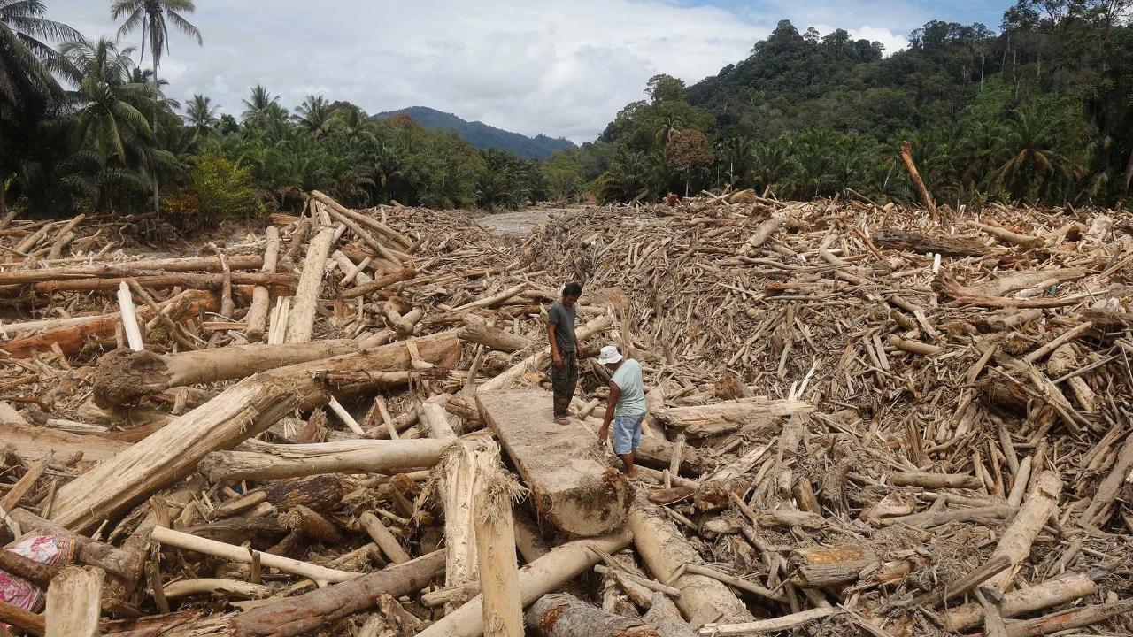 Bareskrim Polri Tetapkan Tersangka Kasus Illegal Logging Batang Toru, Libatkan Individu dan Korporasi