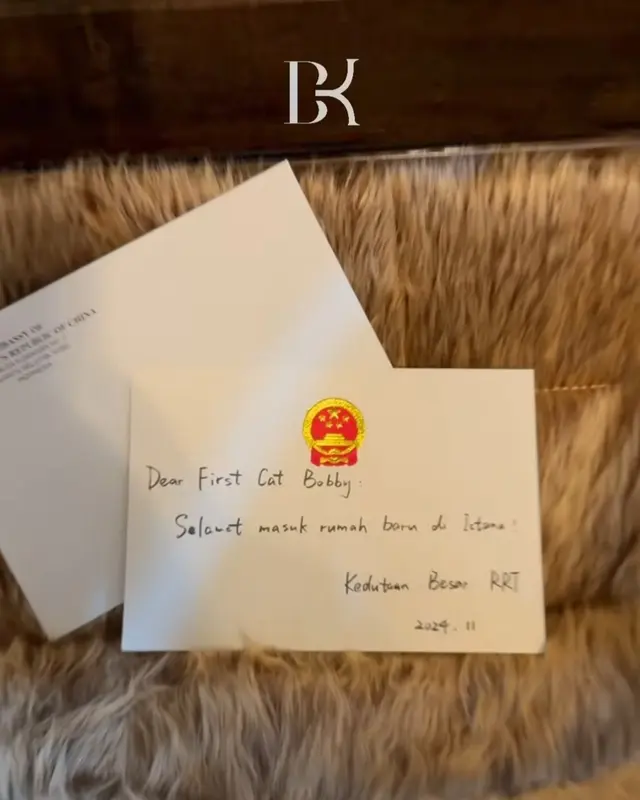 Dapat hadiah dari Dubes China, ini 7 potret rumah mewah Bobby Kertanegara kucing Presiden Prabowo