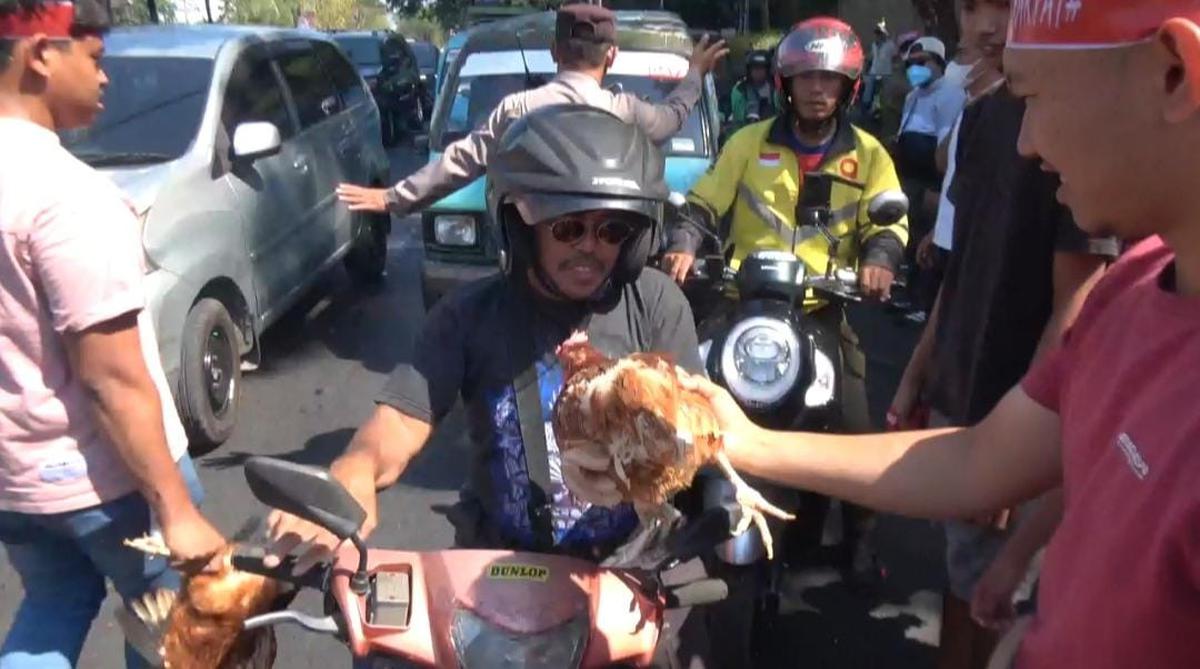 Pengusaha dan Peternak ayam peterlu di Sulsel menggelar aksi unjuk rasa