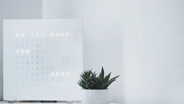 Ilustrasi lidah buaya