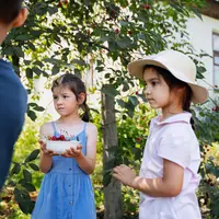 kegiatan berkebun bersama anak memang membutuhkan kesabaran ekstra, namun manfaat jangka panjangnya sangat berharga. Anak tidak hanya belajar tentang tanaman, tetapi juga memahami proses, kegagalan, dan keberhasilan secara alami melalui pengalaman langsung di kebun. (foto/dok: freepik)