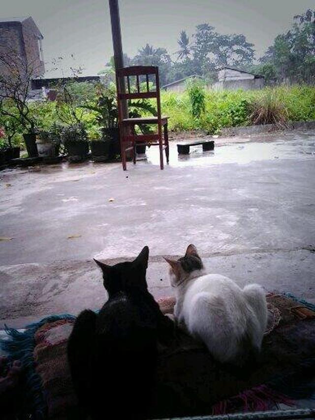 6 Momen Pacaran saat Hujan Ini Nyeleneh, Bikin Elus Dada