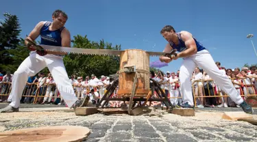 Peserta menggergaji batang pohon dengan "tronza", gergaji tradisional daerah Basque, pada hari ketiga festival San Fermin di Pamplona, Spanyol, Senin (8/7/2019). Festival San Fermin menghadirkan beberapa olahraga pedesaan Basque seperti menggergaji dan memotong pohon dengan kapak. (JAIME REINA/AFP)