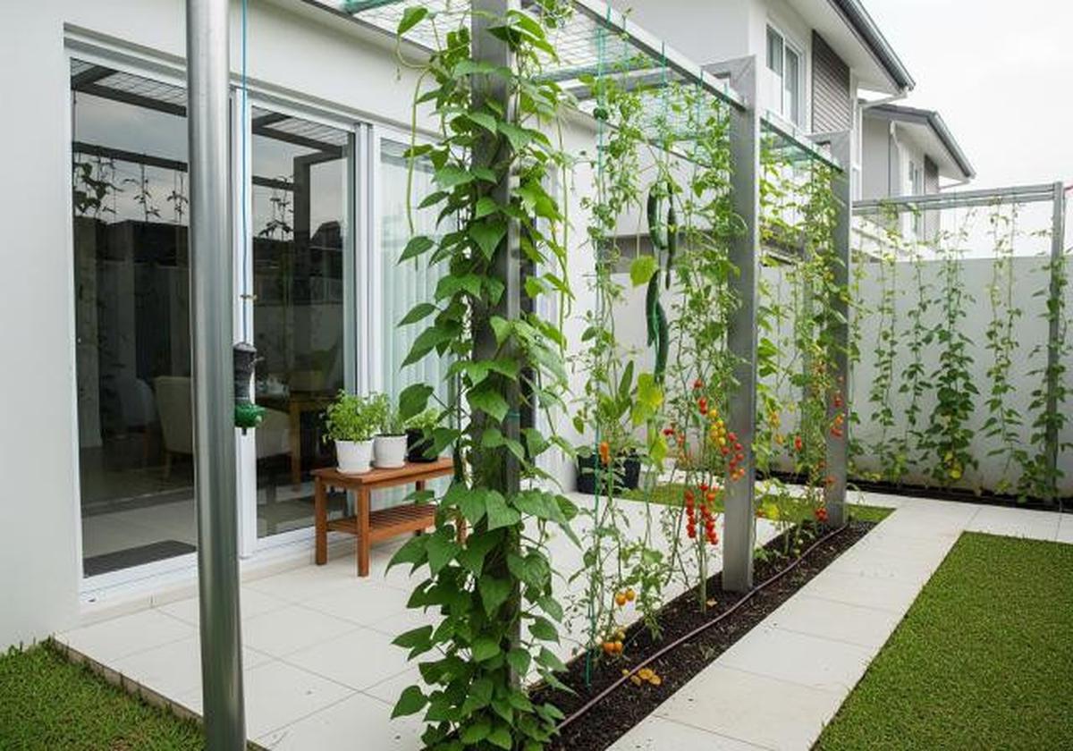 10 Konsep Kebun Rumah Campuran Tanaman Hias dan Sayur, Solusi Cerdas Lahan Sempit