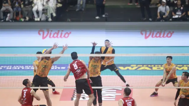 Jakarta LavAni Livin Transmedia -  PLN Mobile Proliga 2025 - Bola Voli
