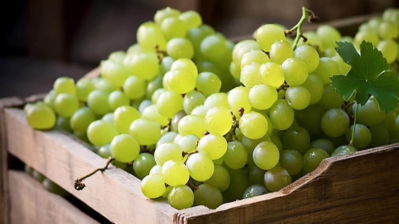 Badan Pangan Nasional Nyatakan Anggur Shine Muscat Aman untuk Dikonsumsi