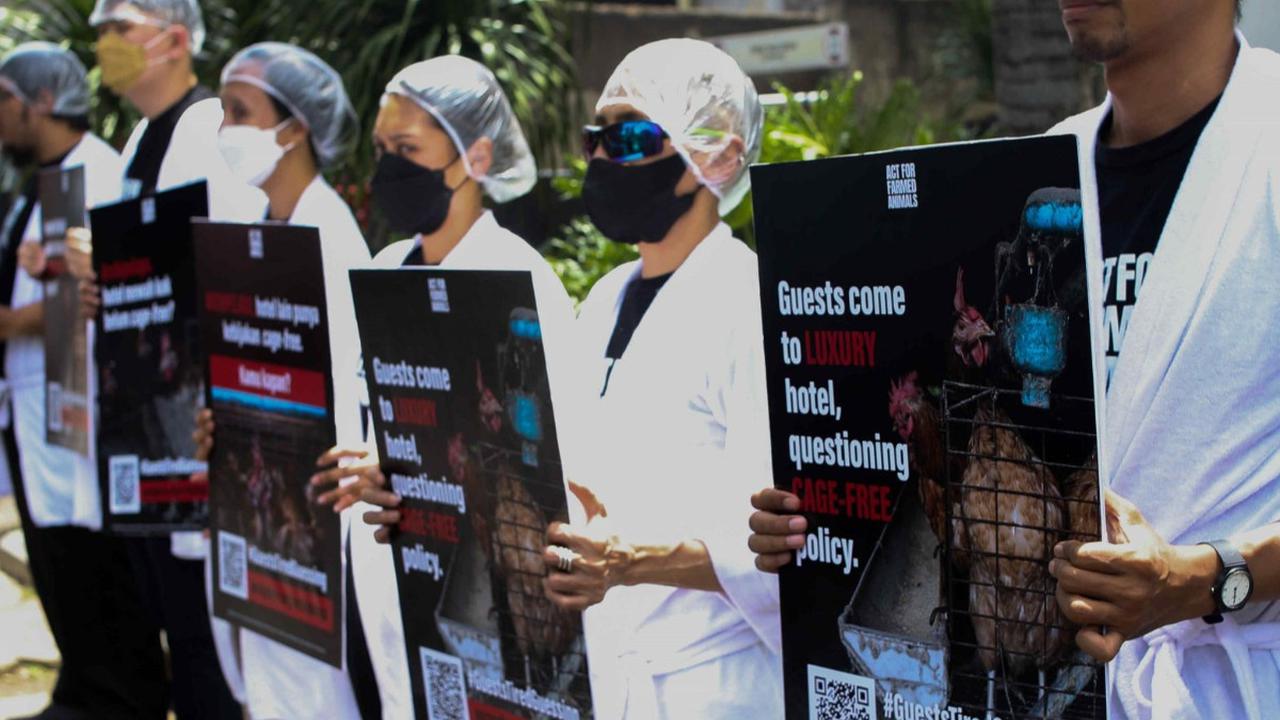 Sejumlah aktivis Act For Farmed Animals (AFFA) memakai jubah mandi menggelar aksi unjuk rasa di depan Hotel Aston Bellevue Radio Dalam, Jakarta, Senin (22/1/2024).<br>( Foto Liputan6.com / Herman Zakharia )
