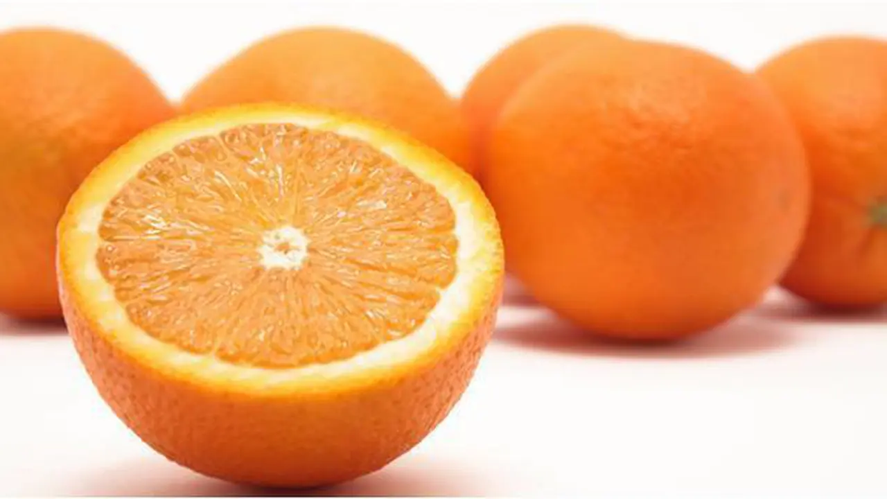 Foto : Copyright shutterstock.com