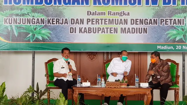 Porang