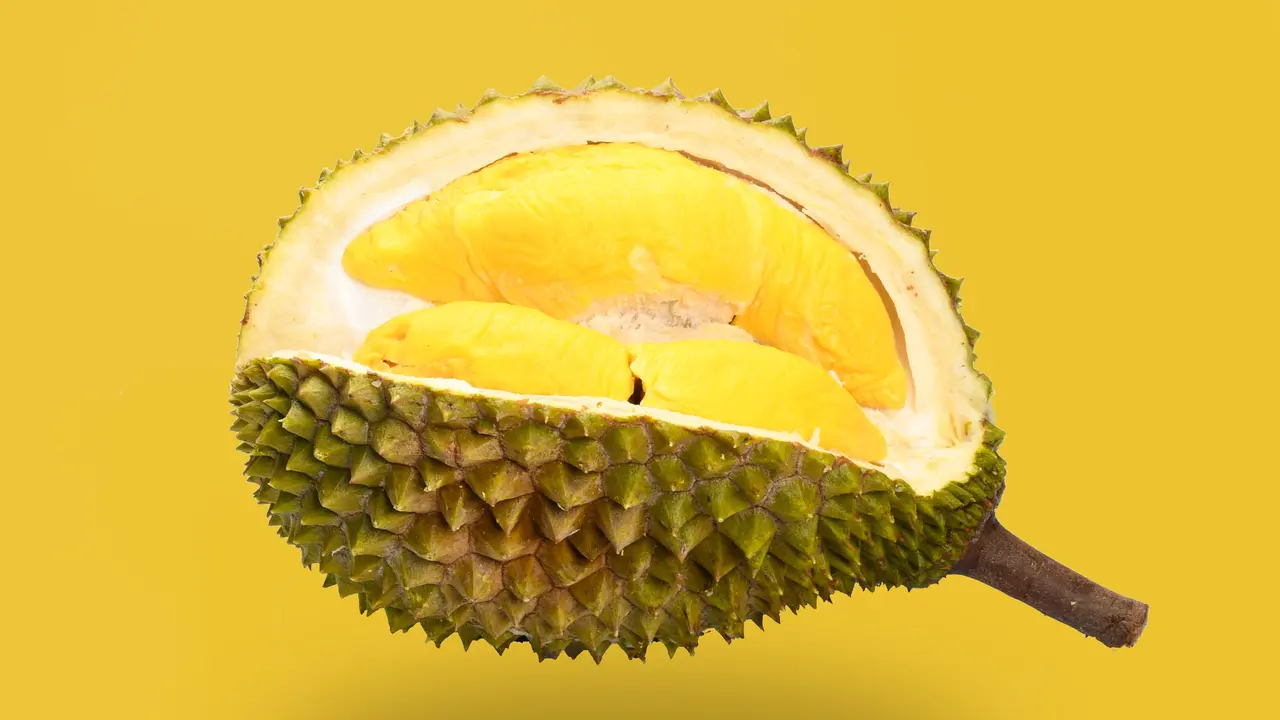 Durian - Vania