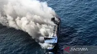 Cerita Kuda Pacu Kebanggaan Sulsel Hangus di KMP Mutiara Santosa