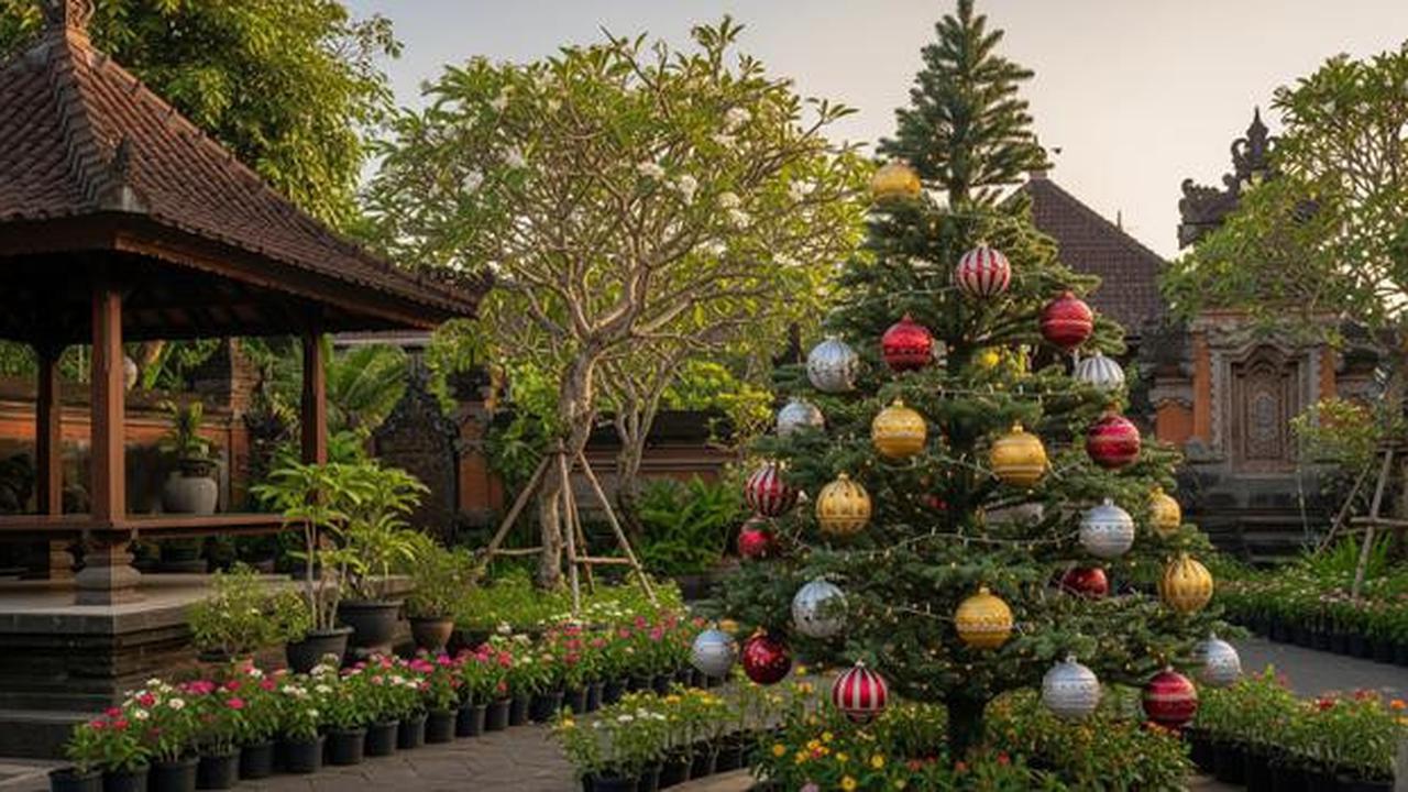 Alasan Cemara Selalu Menjadi Pohon Natal: Simbol Kehidupan, Harapan, dan Iman yang Tak Pernah Padam