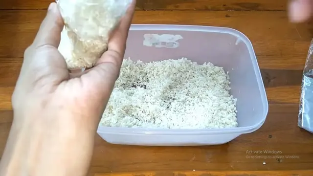 Cara Rebus Lontong dengan Efisien, Cepat  dan Awet Hingga 4 Hari