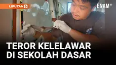 Proses belajar mengajar di SD Negeri 3 Gladag, Banyuwangi, Jawa Timur, terganggu akibat ribuan kelelawar yang bersarang di atap gedung sekolah. Selain menimbulkan bau tak sedap, kelelawar-kelelawar ini juga kerap menyerang para siswa saat kegiatan be...