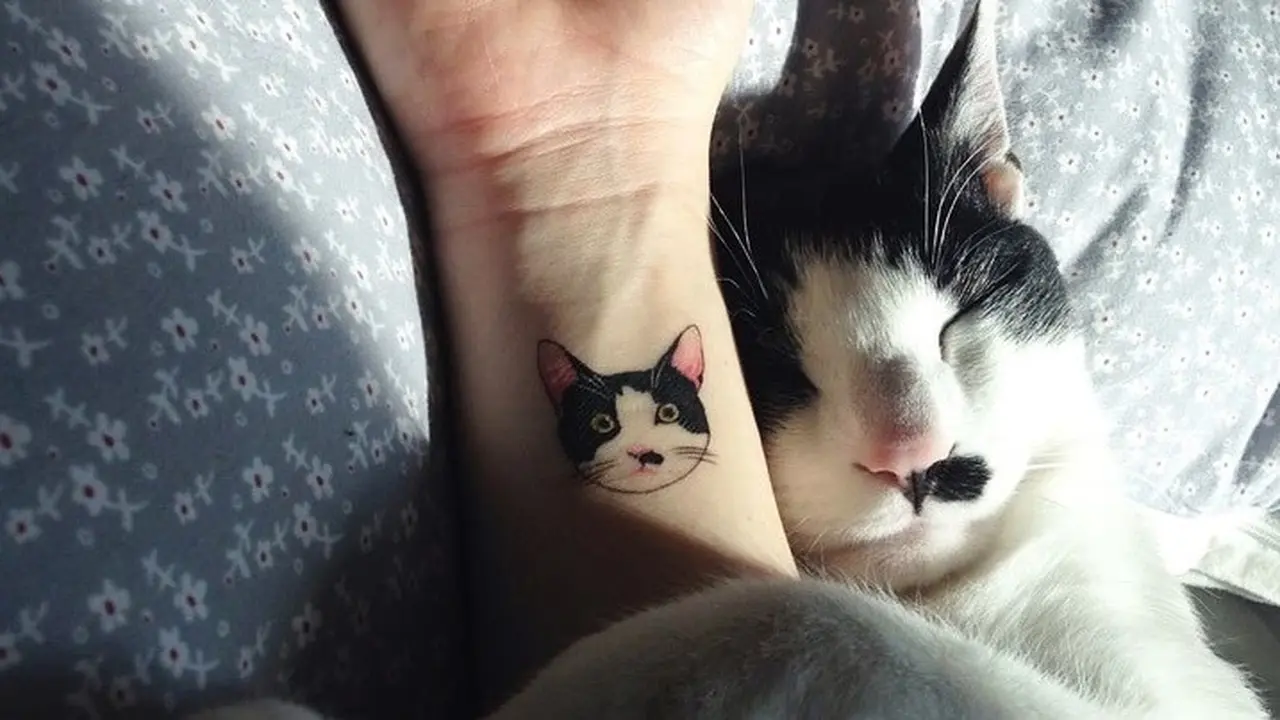 8 Tato Lucu, Cocok Bagi Kamu Pecinta Kucing