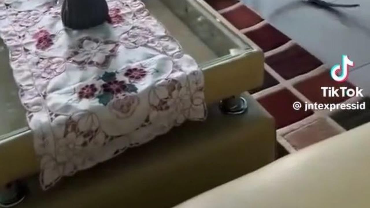 Serba Bisa, Aksi Kurir Paket Bantu Tangkap Biawak Masuk Rumah Ini Viral