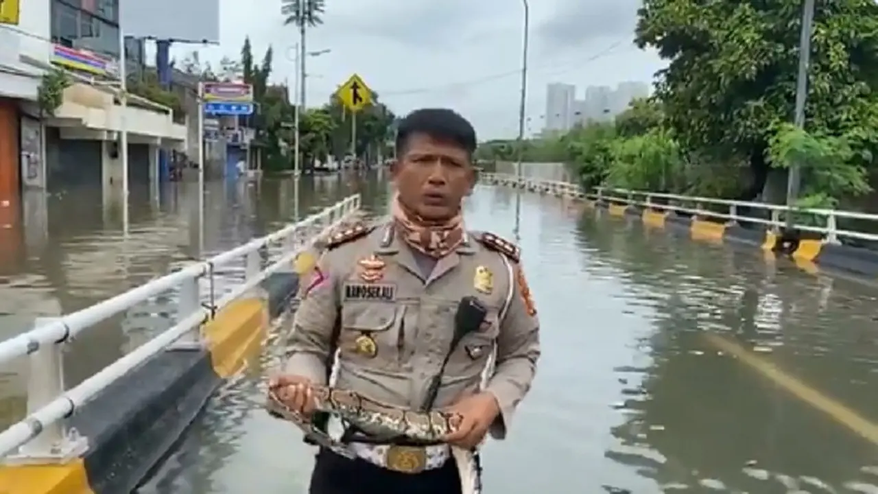 polisi