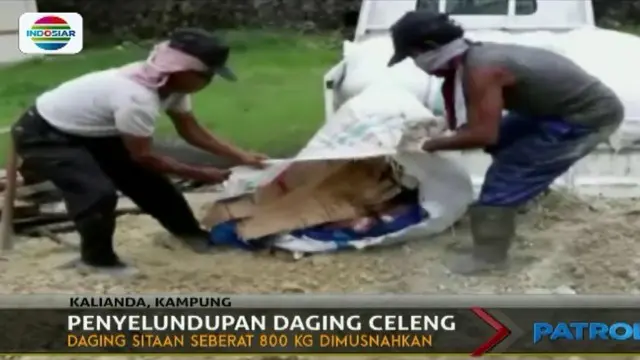 800 kilogram daging celeng yang hendak diselundupkan dari Bengkulu dimusnahkan  Balai Karantina Pelabuhan Bakauheni, Lampung.