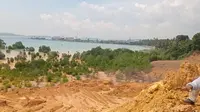 Kerusakan Hutan Mangrove Batam Tidak Bisa Pulih Dalam 1 Abad