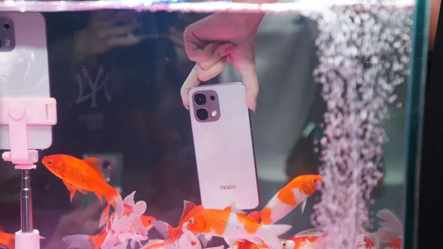 Oppo A6 Pro (dalam akuarium) saat acara peluncuran pada Selasa (7/10/2025) di Jakarta.