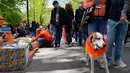 Seekor anjjing mengenakan atribut warna oranye pada pada Hari Ulang Tahun Raja atau King's Day di Amsterdam, Belanda, 27 April 2018. Pada Hari Raja, masyarakat diperbolehkan menjual berbagai barang di jalan tanpa memerlukan izin. (AP/Peter Dejong)
