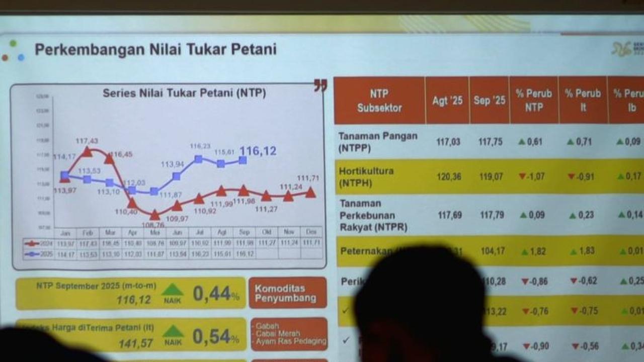 Fakta! Harga Beras di Penggilingan Rata-Rata Naik 0,36 Persen pada September 2025, Ini Rinciannya