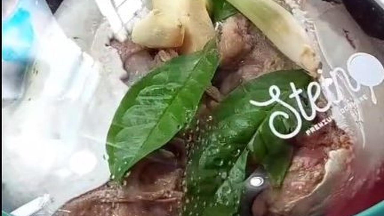 Rebus Lagi dengan Bahan Tambahan
