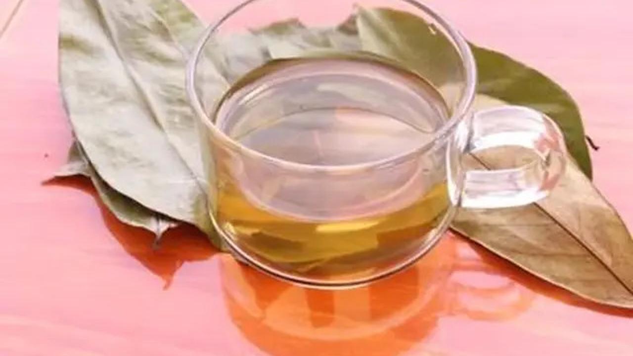 Cara Membuat Rebusan Daun Sirsak, Solusi Alami untuk Asam Urat dan Kolesterol