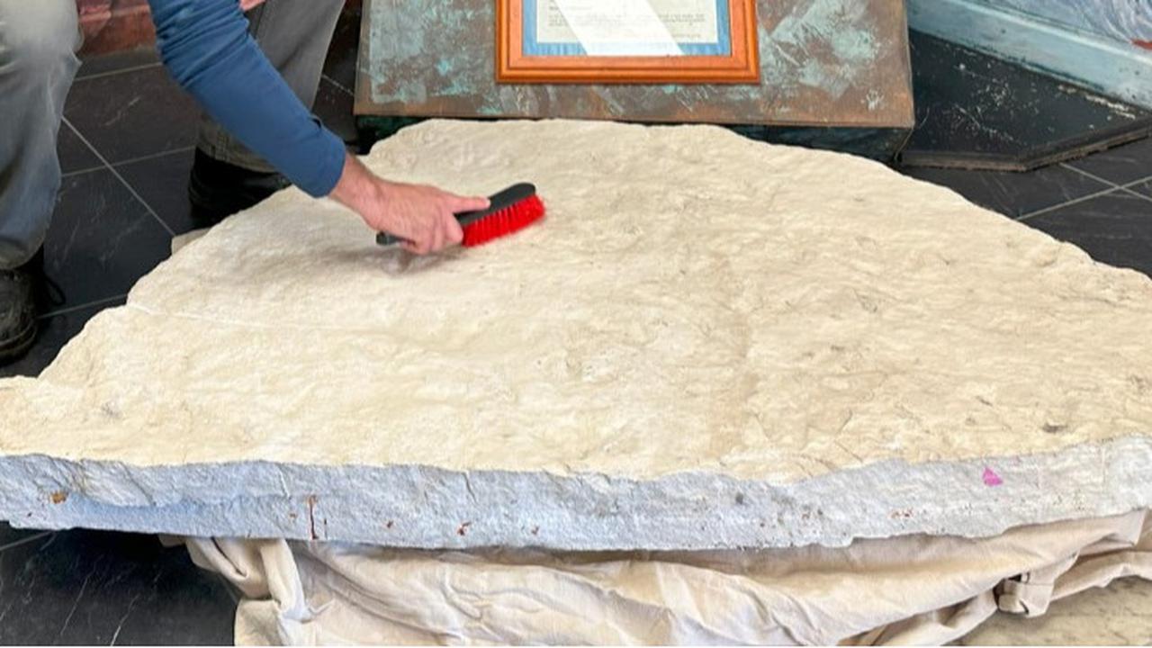 Jejak Kaki Misterius Ditemukan di Sekolah Australia, Ternyata Milik Hewan Purba Pemakan Tumbuhan