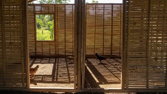 Model Ventilasi Kandang Ayam Kecil Agar Tidak Pengap dan Bau