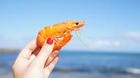 Ilustrasi mimpi, udang. (Photo by Elle Hughes on Unsplash)
