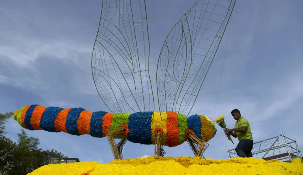 Seorang pekerja sedang merangkai bunga menjadi Capung di Festival Bunga Medellin, Kolombia. Foto diambil pada 31 Juli 2014 (AFP PHOTO/Raul ARBOLEDA)
