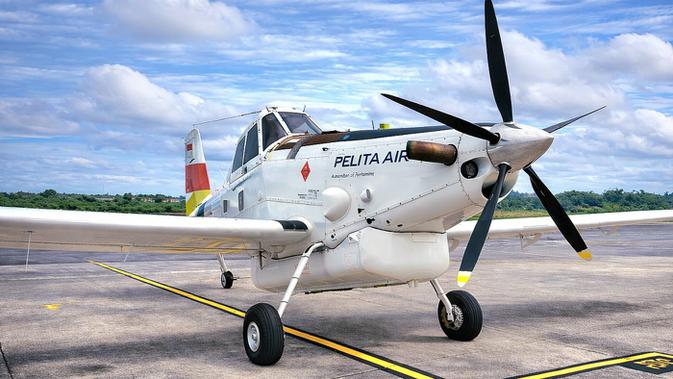 Pesawat Pelita Air Jatuh di Nunukan, Kemenhub Ungkap Pilot Meninggal