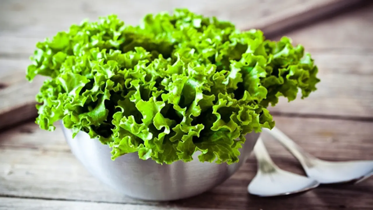 Foto: Copyright ShutterStock.com