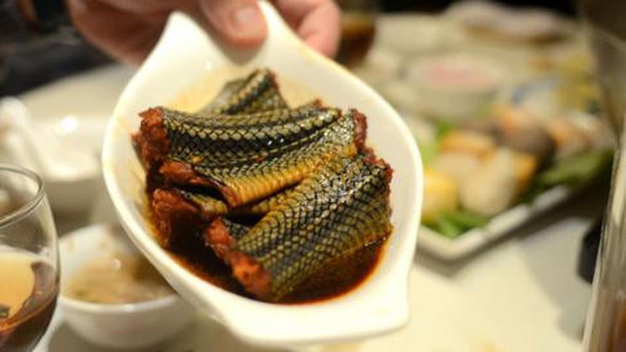 Pasar Tomohon, gudang penjaja makanan ekstrem