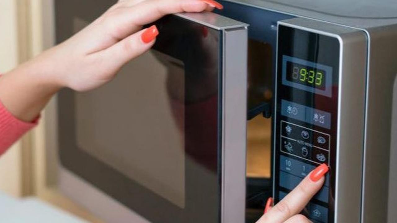 Bingung Pilih Microwave atau Airfryer? Ini Panduan Terbaik untuk Pemula