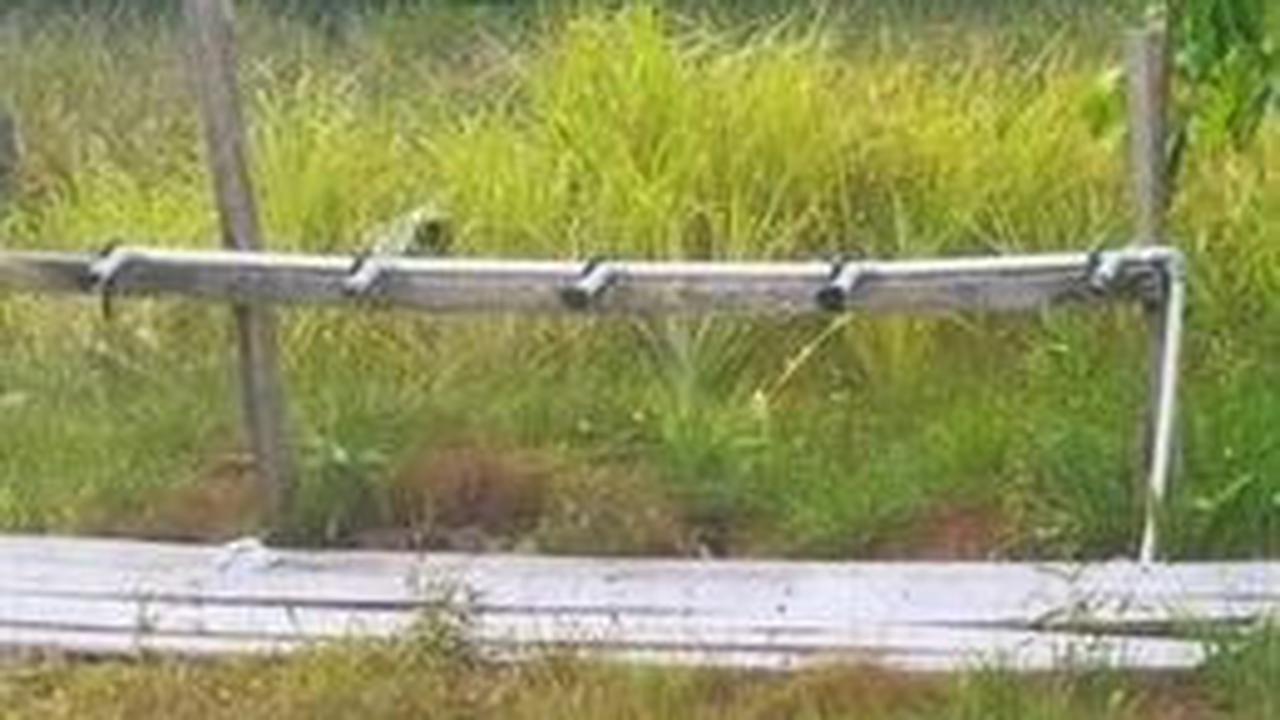 "Untuk berwudhu masih menggunakan air parit yang hitam dan kelat yang bersumber dari tanah gambut," demikian dikutip dari keterangan pada laman kitabisa.com.