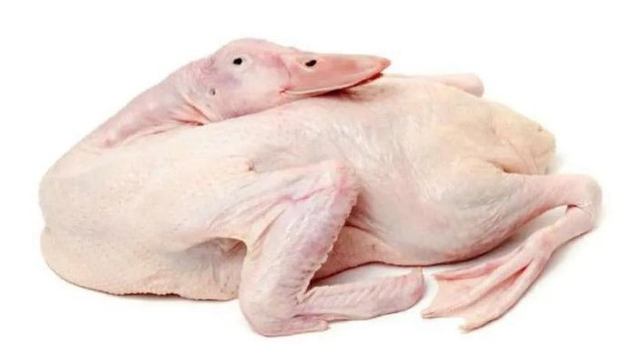 Cara Mengempukkan Daging Bebek