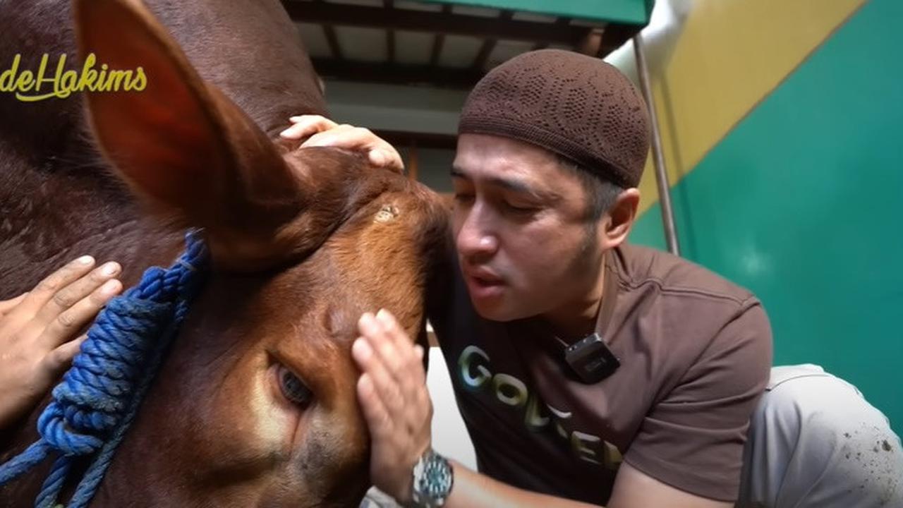 6 Sapi Kurban Irfan Hakim, Selain Janoko Siapa yang Bikin Kamu Nangis Brutal?