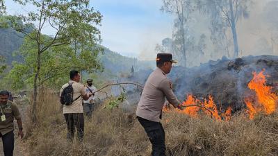 Dampak Kebakaran Hutan Konservasi Kintamani 