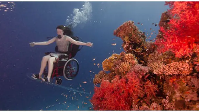 Photo copyright Sue Austin