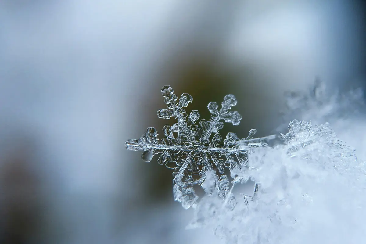 Russia Hit by Worst Snow Storm: Kamchatka Completely Paralyzed, Snowfall Reaches Record Heights