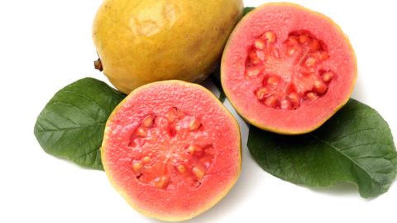 Kontrol diabetes dengan makan buah jambu biji