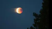 Ini Lokasi Ideal untuk Lihat Super Blue Blood Moon di Indonesia