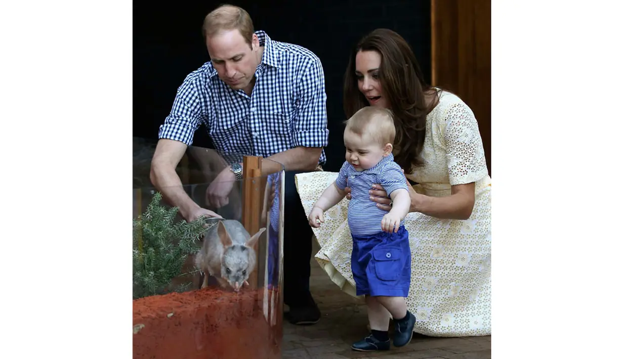 Pangeran George sedikit tersenyum melihat ayahnya, Pangeran William mengusap binatang yang yang kelahirannya berbarengan dengan sang pewaris tahta kerajaan Inggris itu. (20/4/2014). (REUTERS/Chris Jackson)