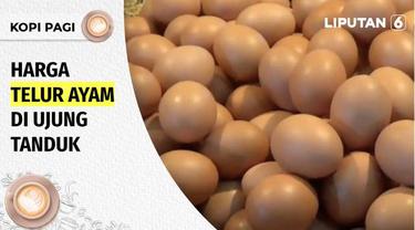 Untuk pertama kali dalam sejarah Republik, harga telur ayam capai Rp 32 ribu per kg. Kondisi ini memaksa warga terpaksa membeli telur pecah, karena dijual dengan harga lebih murah.