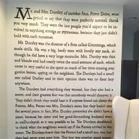 Meredith McCardle, cewek yang ngefans banget sama Harry Potter dan menujukkannya dengan cara yang nggak biasa. (Via: twitter.com/MeredithMcP)