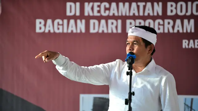Dedi Mulyadi