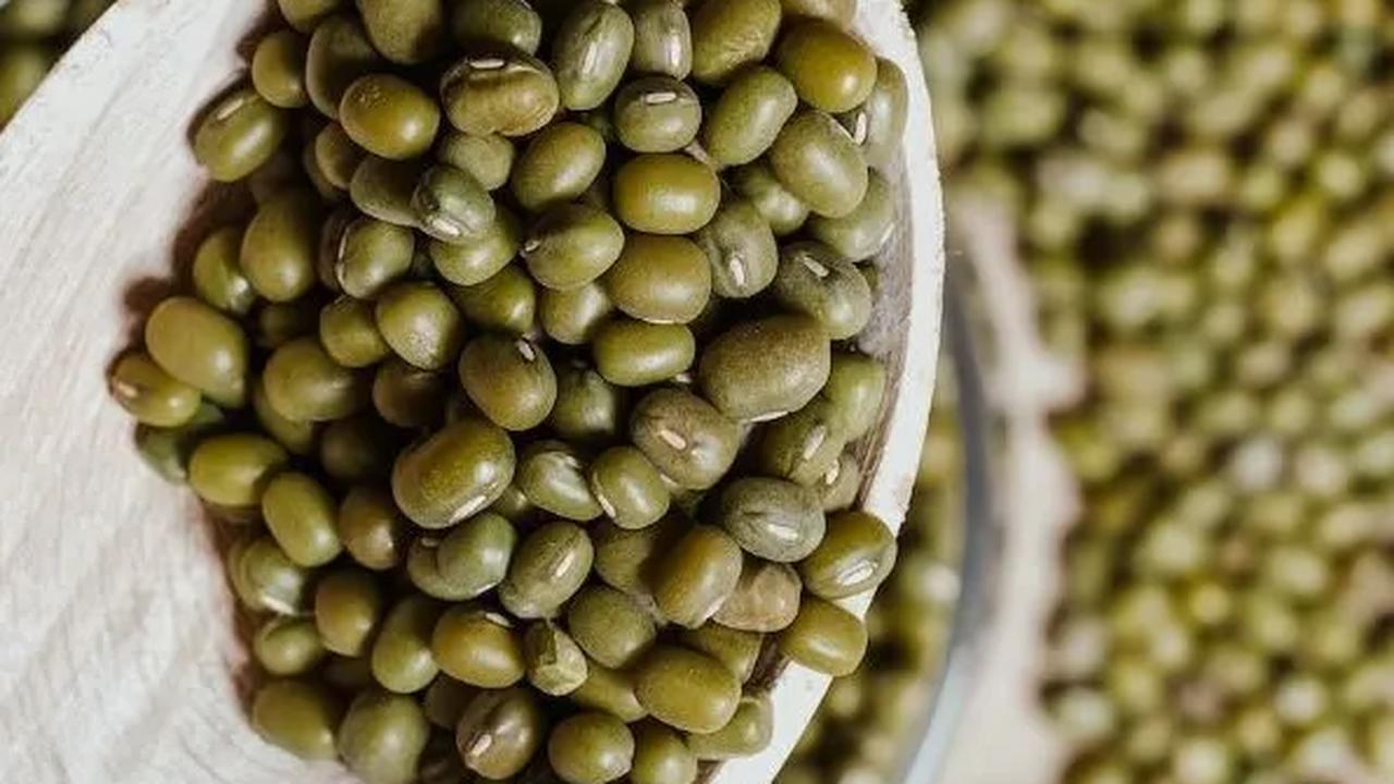 1.&nbsp;Asupan Nutrisi dan Gizi: Kacang hijau merupakan sumber nutrisi dan gizi harian yang penting, memberikan asam amino esensial dan protein.
